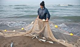 پایان فصل صید ماهیان استخوانی دریای خزر
